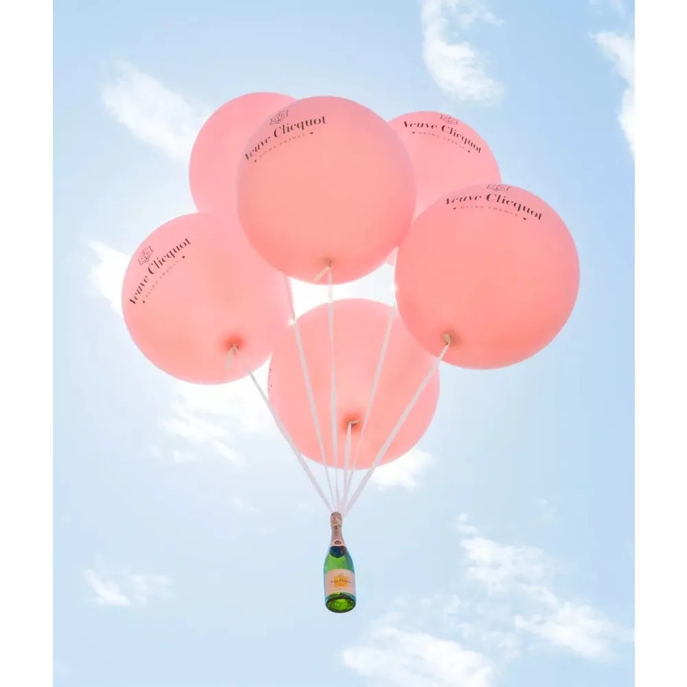 Balon Pink Oranye Ukuran Regul - Wine Bottle Size ulasan dan harga